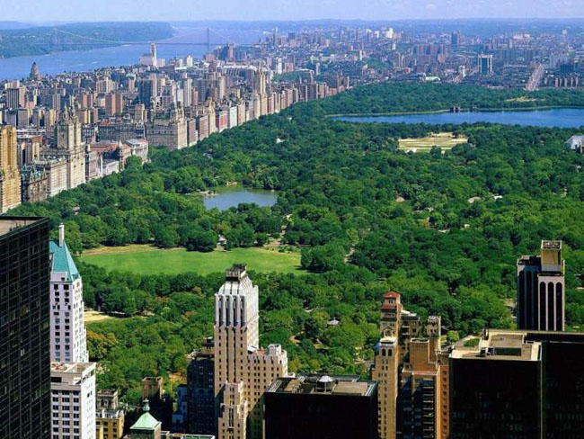 New York City  real estate - Central Park -  Manhatten New York